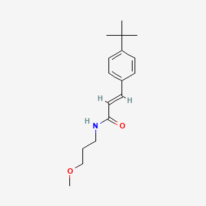 molecular formula C17H25NO2 B4677692 3-(4-tert-butylphenyl)-N-(3-methoxypropyl)acrylamide 