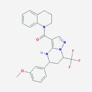 molecular formula C24H23F3N4O2 B468288 3,4-dihydroquinolin-1(2H)-yl[5-(3-methoxyphenyl)-7-(trifluoromethyl)-4,5,6,7-tetrahydropyrazolo[1,5-a]pyrimidin-3-yl]methanone 
