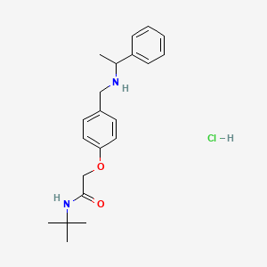 N-tert-butyl-2-[4-[(1-phenylethylamino)methyl]phenoxy]acetamide;hydrochloride