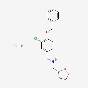 [4-(benzyloxy)-3-chlorobenzyl](tetrahydrofuran-2-ylmethyl)amine hydrochloride