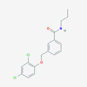 3-[(2,4-DICHLOROPHENOXY)METHYL]-N~1~-PROPYLBENZAMIDE