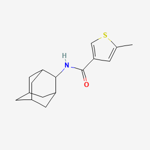 N-2-adamantyl-5-methyl-3-thiophenecarboxamide