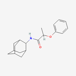 molecular formula C19H25NO2 B4690783 N-2-adamantyl-2-phenoxypropanamide 