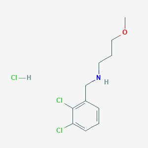 N-(2,3-dichlorobenzyl)-3-methoxy-1-propanamine hydrochloride