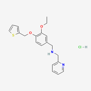 molecular formula C20H23ClN2O2S B4692768 [3-ethoxy-4-(2-thienylmethoxy)benzyl](2-pyridinylmethyl)amine hydrochloride 