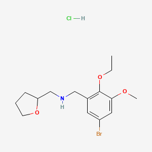 molecular formula C15H23BrClNO3 B4697609 (5-bromo-2-ethoxy-3-methoxybenzyl)(tetrahydrofuran-2-ylmethyl)amine hydrochloride 
