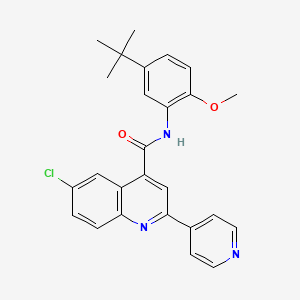 N-(5-tert-butyl-2-methoxyphenyl)-6-chloro-2-(4-pyridinyl)-4-quinolinecarboxamide