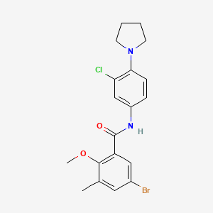 molecular formula C19H20BrClN2O2 B4701788 5-bromo-N-[3-chloro-4-(1-pyrrolidinyl)phenyl]-2-methoxy-3-methylbenzamide 