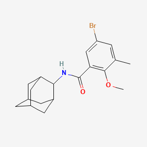 molecular formula C19H24BrNO2 B4703610 N-2-adamantyl-5-bromo-2-methoxy-3-methylbenzamide 