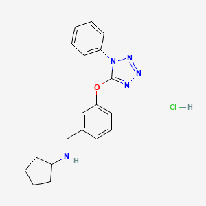 molecular formula C19H22ClN5O B4703837 N-{3-[(1-phenyl-1H-tetrazol-5-yl)oxy]benzyl}cyclopentanamine hydrochloride 