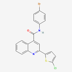 N-(4-bromophenyl)-2-(5-chloro-2-thienyl)-4-quinolinecarboxamide