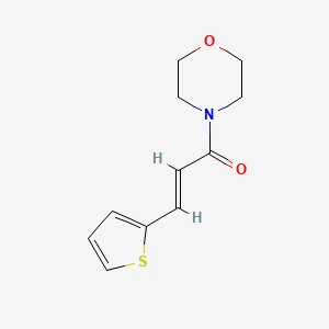 molecular formula C11H13NO2S B4710329 4-[3-(2-thienyl)acryloyl]morpholine 