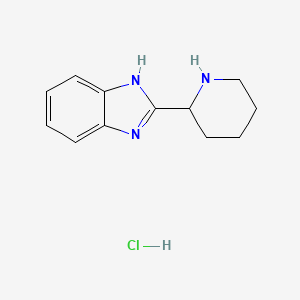 molecular formula C12H16ClN3 B4713830 2-(2-piperidinyl)-1H-benzimidazole hydrochloride CAS No. 1052546-11-8