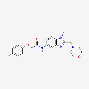 N-[1-methyl-2-(4-morpholinylmethyl)-1H-benzimidazol-5-yl]-2-(4-methylphenoxy)acetamide