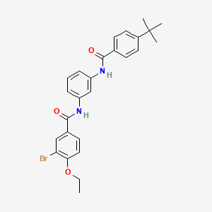 3-bromo-N-{3-[(4-tert-butylbenzoyl)amino]phenyl}-4-ethoxybenzamide