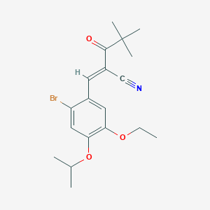 molecular formula C19H24BrNO3 B4718828 3-(2-bromo-5-ethoxy-4-isopropoxyphenyl)-2-(2,2-dimethylpropanoyl)acrylonitrile 