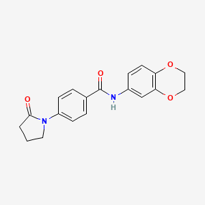 molecular formula C19H18N2O4 B4721592 N-(2,3-dihydro-1,4-benzodioxin-6-yl)-4-(2-oxo-1-pyrrolidinyl)benzamide 