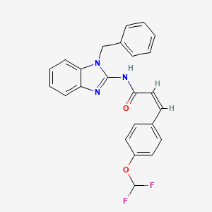 molecular formula C24H19F2N3O2 B4723164 N-(1-benzyl-1H-benzimidazol-2-yl)-3-[4-(difluoromethoxy)phenyl]acrylamide 