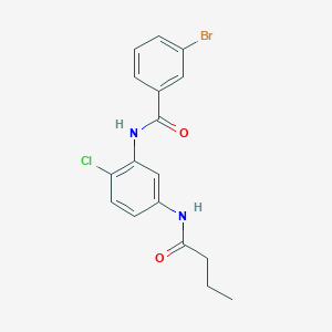 molecular formula C17H16BrClN2O2 B4723295 3-bromo-N-[5-(butyrylamino)-2-chlorophenyl]benzamide 