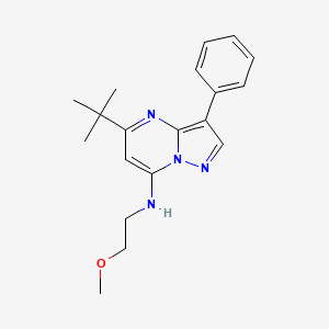 5-tert-butyl-N-(2-methoxyethyl)-3-phenylpyrazolo[1,5-a]pyrimidin-7-amine