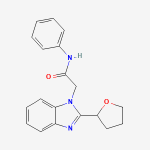 molecular formula C19H19N3O2 B4726569 N-phenyl-2-[2-(tetrahydrofuran-2-yl)-1H-benzimidazol-1-yl]acetamide 