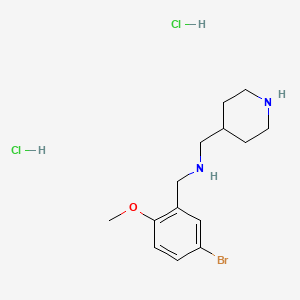 molecular formula C14H23BrCl2N2O B4726825 (5-bromo-2-methoxybenzyl)(4-piperidinylmethyl)amine dihydrochloride 