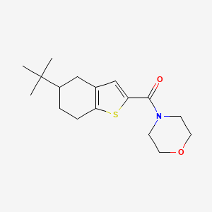 molecular formula C17H25NO2S B4728420 4-[(5-tert-butyl-4,5,6,7-tetrahydro-1-benzothien-2-yl)carbonyl]morpholine 