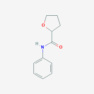 molecular formula C11H13NO2 B472859 N-phenyltetrahydro-2-furancarboxamide CAS No. 115231-78-2