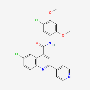 molecular formula C23H17Cl2N3O3 B4730419 6-chloro-N-(5-chloro-2,4-dimethoxyphenyl)-2-(4-pyridinyl)-4-quinolinecarboxamide 