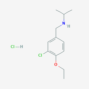 molecular formula C12H19Cl2NO B4735910 N-(3-chloro-4-ethoxybenzyl)propan-2-amine hydrochloride 