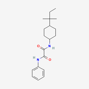 molecular formula C19H28N2O2 B4737711 N-[4-(1,1-dimethylpropyl)cyclohexyl]-N'-phenylethanediamide 