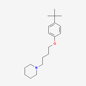 molecular formula C19H31NO B4741566 1-[4-(4-叔丁基苯氧基)丁基]哌啶 