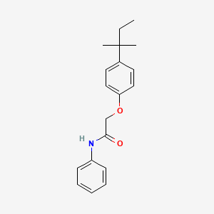 molecular formula C19H23NO2 B4745967 2-[4-(1,1-dimethylpropyl)phenoxy]-N-phenylacetamide 