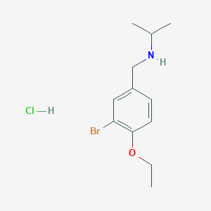 molecular formula C12H19BrClNO B4746916 N-(3-bromo-4-ethoxybenzyl)propan-2-amine hydrochloride 