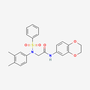 molecular formula C24H24N2O5S B4747613 N~1~-(2,3-dihydro-1,4-benzodioxin-6-yl)-N~2~-(3,4-dimethylphenyl)-N~2~-(phenylsulfonyl)glycinamide 