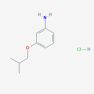 molecular formula C10H16ClNO B4747773 (3-isobutoxyphenyl)amine hydrochloride 