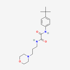 molecular formula C19H29N3O3 B4748696 N-(4-tert-butylphenyl)-N'-[3-(4-morpholinyl)propyl]ethanediamide 