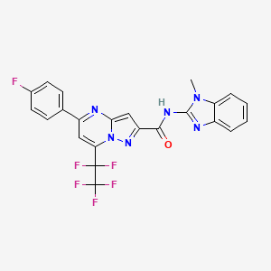 molecular formula C23H14F6N6O B4750763 5-(4-fluorophenyl)-N-(1-methyl-1H-benzimidazol-2-yl)-7-(pentafluoroethyl)pyrazolo[1,5-a]pyrimidine-2-carboxamide 