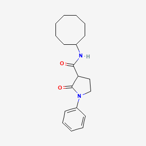molecular formula C19H26N2O2 B4753808 N-cyclooctyl-2-oxo-1-phenyl-3-pyrrolidinecarboxamide 