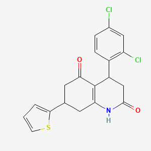 molecular formula C19H15Cl2NO2S B4761017 4-(2,4-dichlorophenyl)-7-(2-thienyl)-4,6,7,8-tetrahydro-2,5(1H,3H)-quinolinedione 
