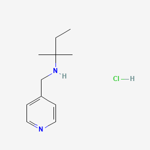 molecular formula C11H19ClN2 B4770464 (1,1-dimethylpropyl)(4-pyridinylmethyl)amine hydrochloride 