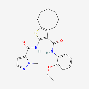 molecular formula C24H28N4O3S B4771050 N-(3-{[(2-ethoxyphenyl)amino]carbonyl}-4,5,6,7,8,9-hexahydrocycloocta[b]thien-2-yl)-1-methyl-1H-pyrazole-5-carboxamide 