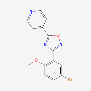 molecular formula C14H10BrN3O2 B4773281 4-[3-(5-bromo-2-methoxyphenyl)-1,2,4-oxadiazol-5-yl]pyridine 