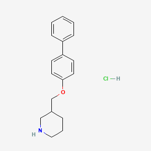 molecular formula C18H22ClNO B4774084 3-[(4-biphenylyloxy)methyl]piperidine hydrochloride CAS No. 28559-48-0