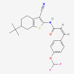 molecular formula C23H24F2N2O2S B4774257 N-(6-tert-butyl-3-cyano-4,5,6,7-tetrahydro-1-benzothien-2-yl)-3-[4-(difluoromethoxy)phenyl]acrylamide 