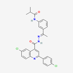 molecular formula C28H24Cl2N4O2 B4777696 N-[3-(N-{[6-chloro-2-(4-chlorophenyl)-4-quinolinyl]carbonyl}ethanehydrazonoyl)phenyl]-2-methylpropanamide 