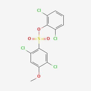molecular formula C13H8Cl4O4S B4778293 2,6-dichlorophenyl 2,5-dichloro-4-methoxybenzenesulfonate 