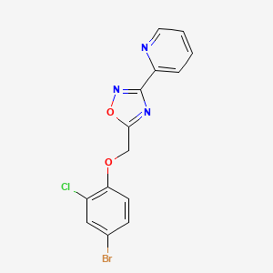 molecular formula C14H9BrClN3O2 B4778349 2-{5-[(4-bromo-2-chlorophenoxy)methyl]-1,2,4-oxadiazol-3-yl}pyridine 