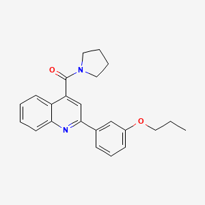 [2-(3-PROPOXYPHENYL)-4-QUINOLYL](1-PYRROLIDINYL)METHANONE