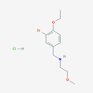 N-(3-bromo-4-ethoxybenzyl)-2-methoxyethanamine hydrochloride